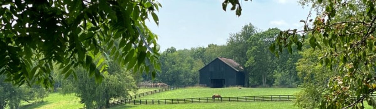 Knockout Scholarships for Students in Kentucky for 2021