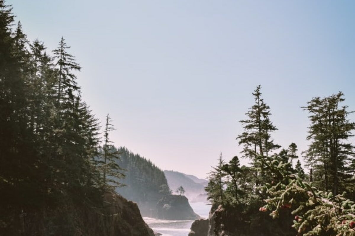 7 Outstanding Oregon Scholarships for 2021