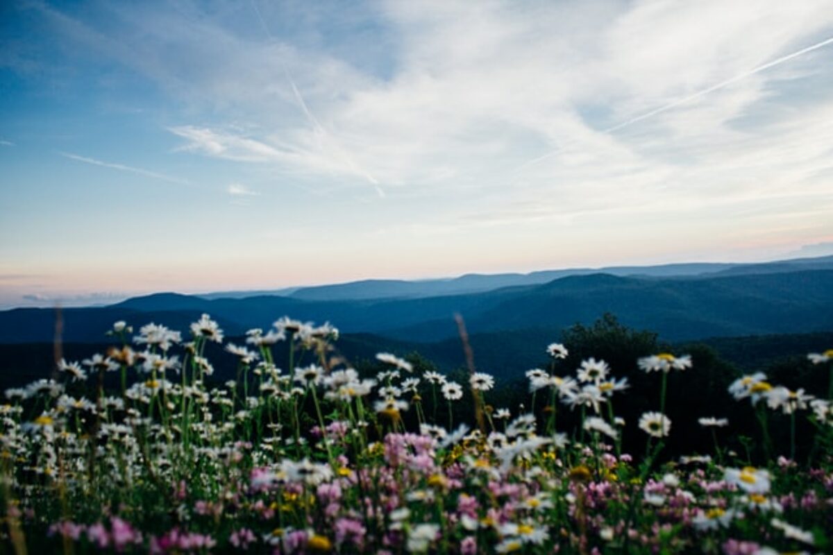 33 Wonderful West Virginia Scholarships for 2021