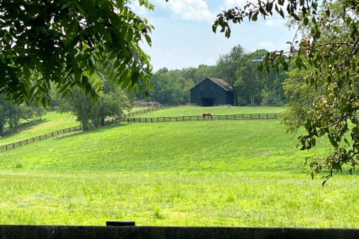 Knockout Scholarships for Students in Kentucky for 2021