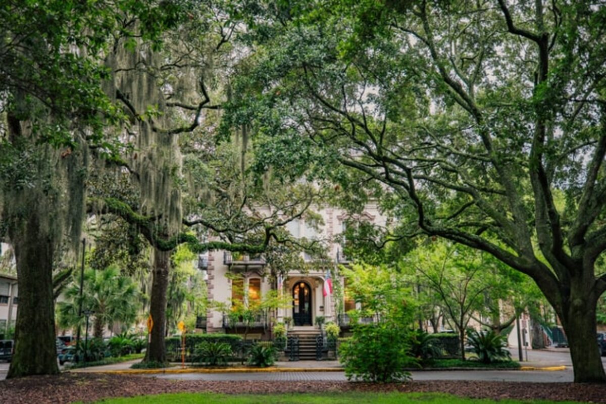 9 Peachy-Keen Scholarships for Students in Georgia for 2021