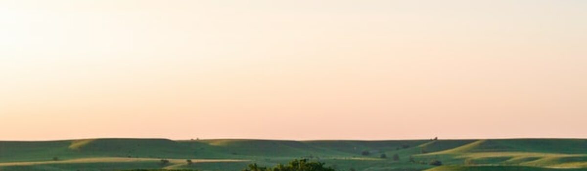 19 Scholarships to Help You Pay for School in Kansas for 2022
