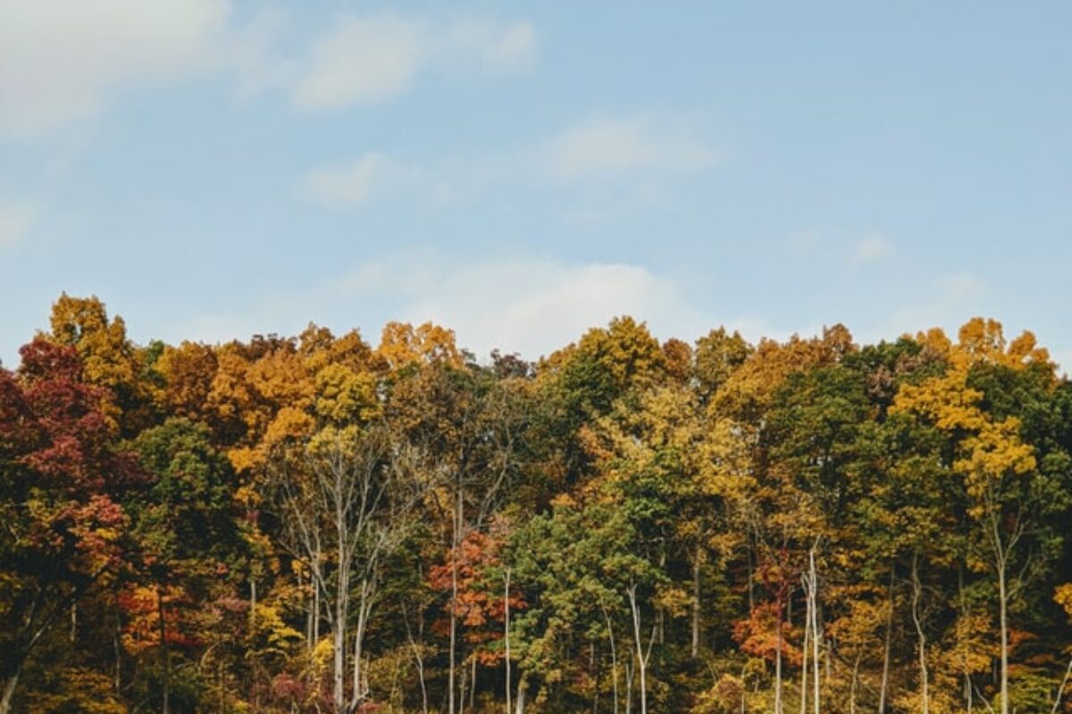 The Best Scholarships for Students in Indiana for 2021