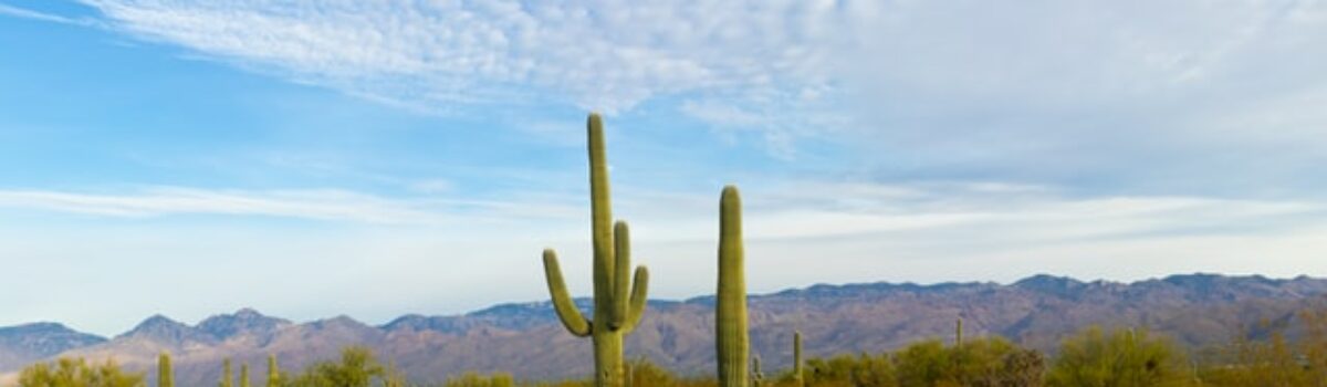 Arizona Scholarships for 2021
