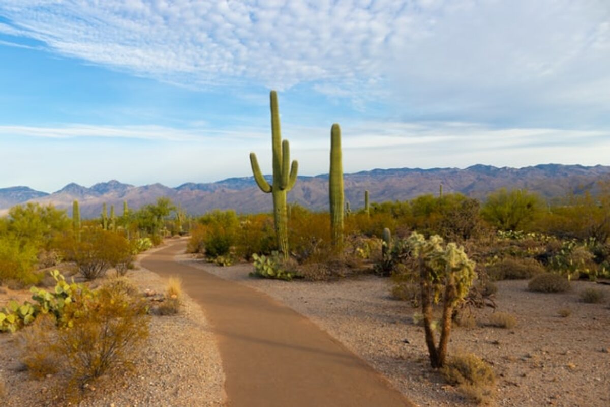 Arizona Scholarships for 2021