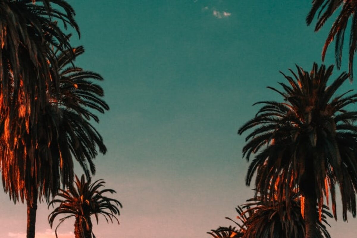 16 Scholarships for California Students for 2021